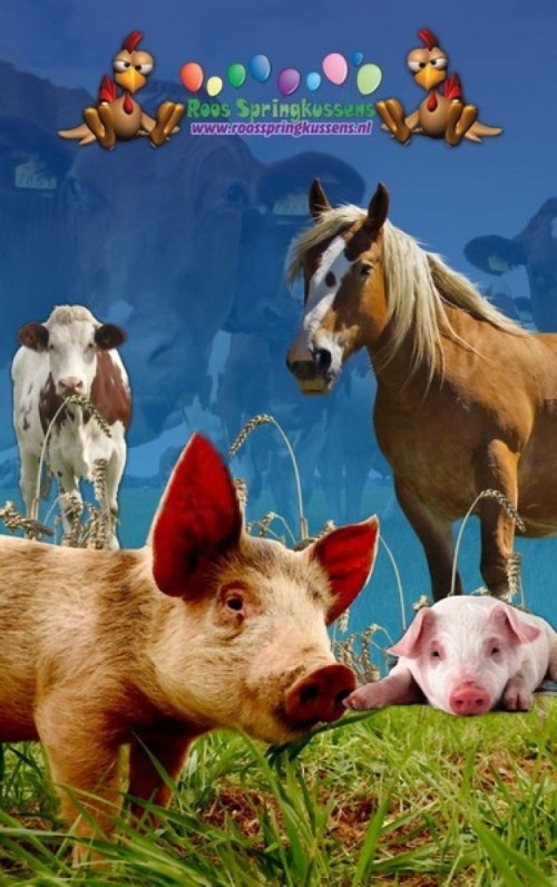 Bibberspiraal - Boerderijdieren 